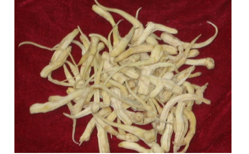 峨?yún)? />
</p>
<p style=